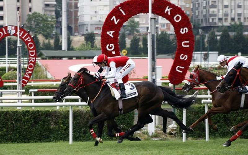 Türkiye Jokey Kulübü (TJK), TJK Bülten, TJK Sonuç Yasal Canlı Bahis Siteleri, En İyi Online iddaa Siteleri hakkında bilgiler burada: ? TIKLA!